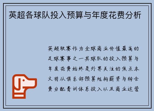 英超各球队投入预算与年度花费分析